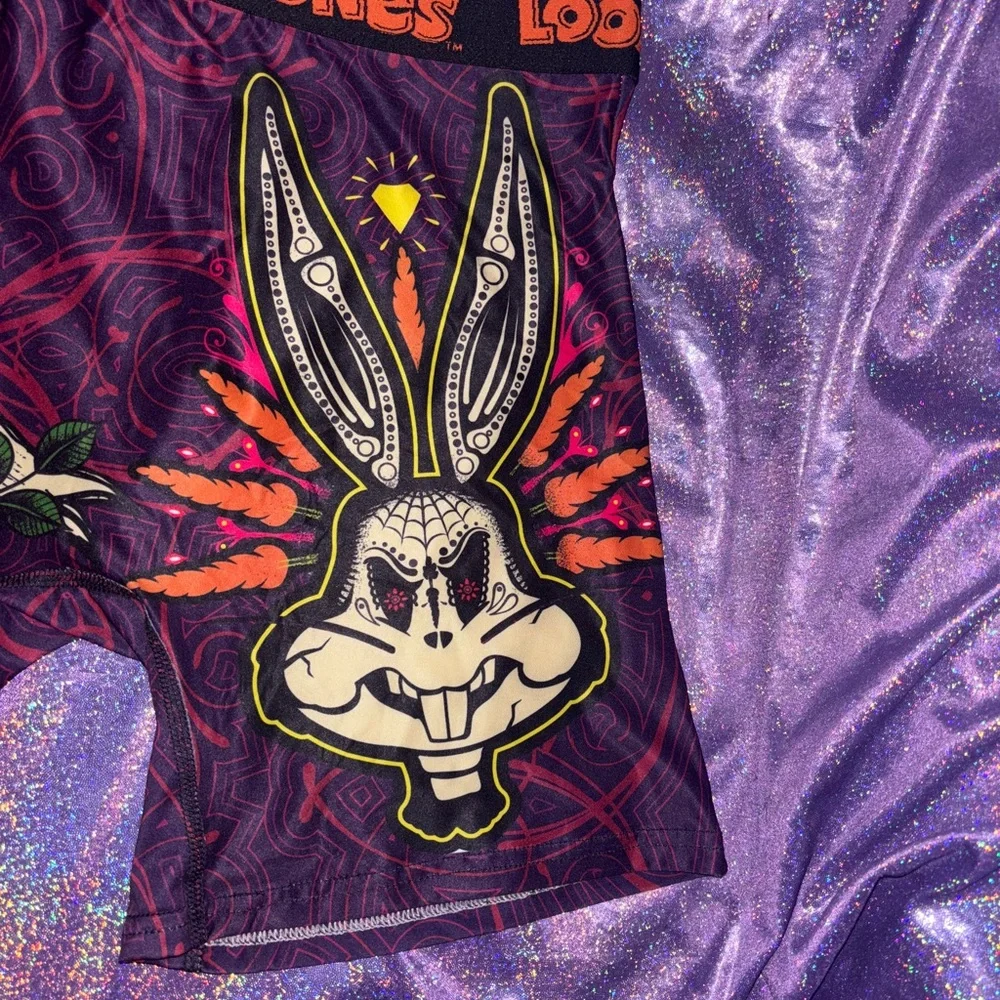 Looney Tunes Dia De Los Muertos Boxers